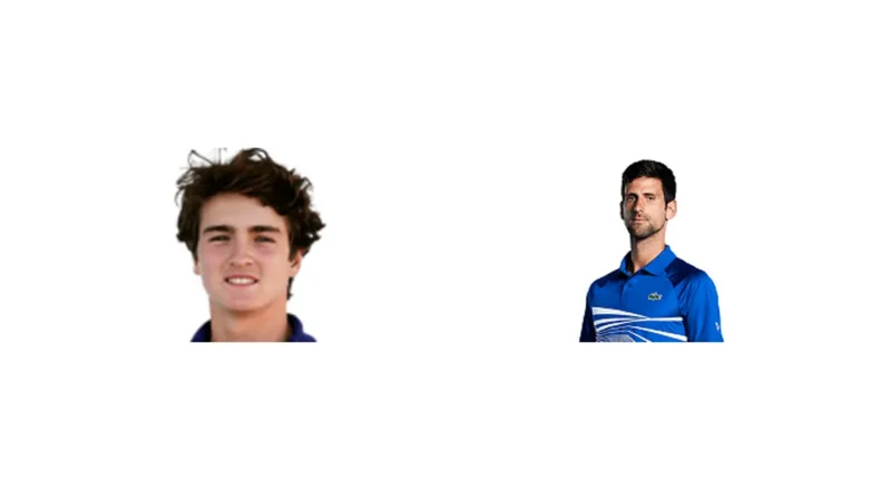 Prediction cover: J. Fonseca vs N. Djokovic