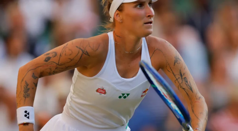 Tomljanovic accuses anti-doping chiefs of being out to get players after Vondrousova ban