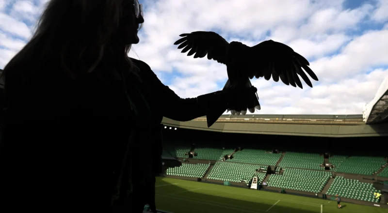 Wimbledon 2026: Sinner, Sabalenka, Djokovic and more in action on day one - live