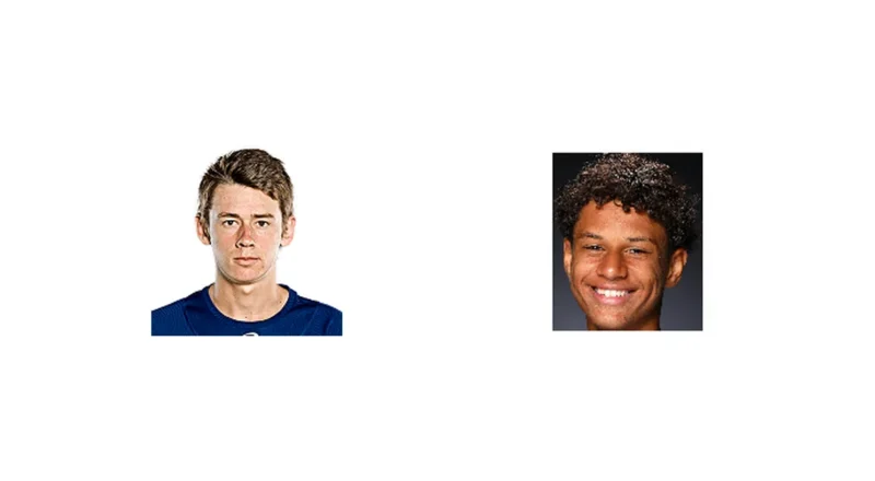 Prediction cover: A. De Minaur vs G. Diallo