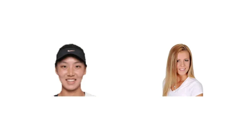 Prediction cover: Aoran Wang vs D. Galfi