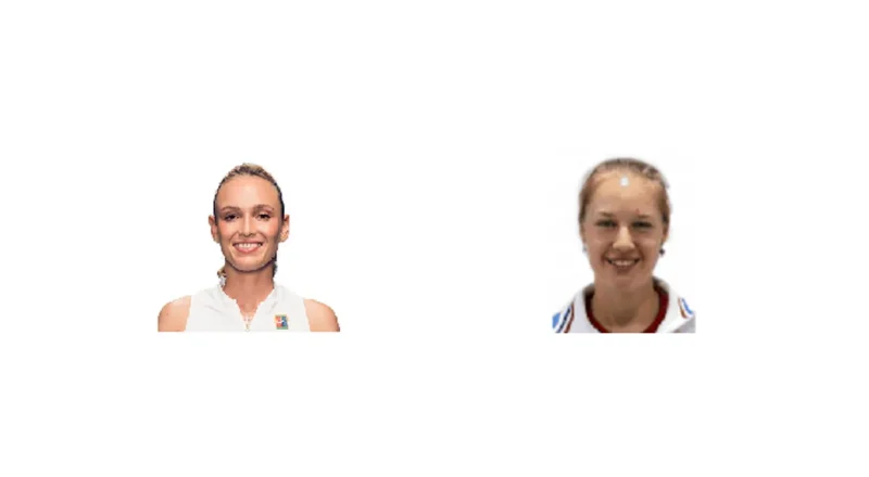Prediction cover: D. Vekic vs A. Blinkova