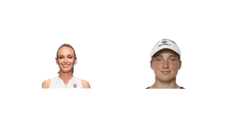 Prediction cover: D. Vekic vs C. Monnet