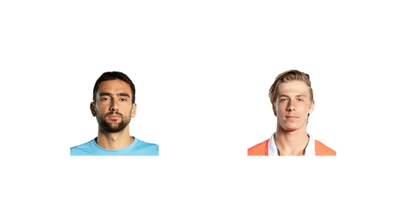 Prediction cover: M. Cilic vs D. Shapovalov