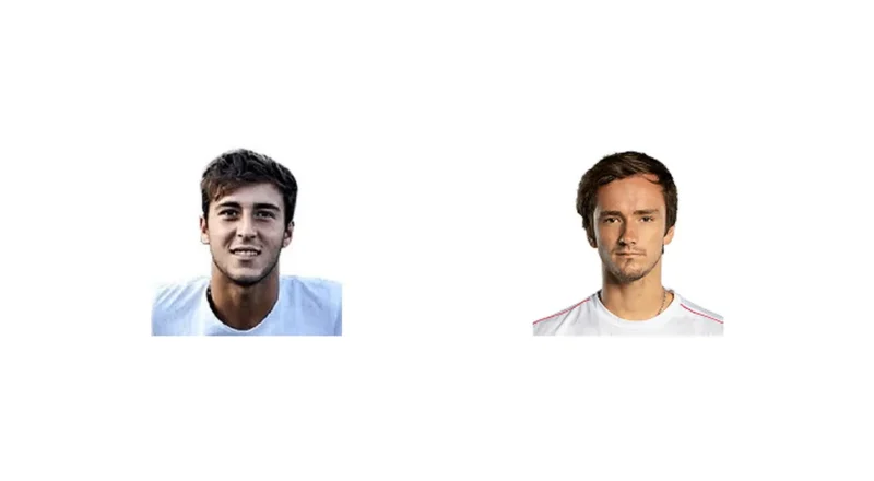 Prediction cover: T. M. Etcheverry vs D. Medvedev