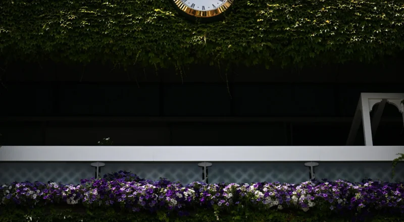 Karolina Muchova v Linda Noskova: Wimbledon 2026 women’s singles final – live